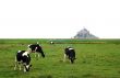 Le Mont Saint Michel 3