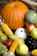 Autumn Fruit 3