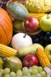 Autumn Fruit 2