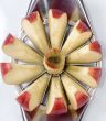 Sliced Apple