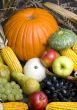 Harvest Fruit