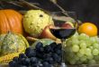 Autumn harvest and wine