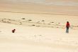 Sables d`Or - les Pins 4