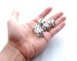 Dices