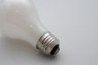 Light Bulb