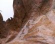 Brown Leaf