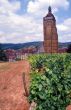 Arbois 3