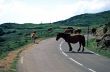 Aubisque 2