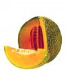 Isolated Cantaloupe Wedge