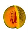 Isolated Cantaloupe