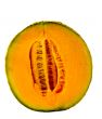 Isolated Cantaloupe Half