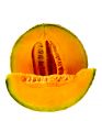 Isolated Cantaloupe Wedge