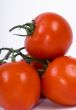 Red Tomatoes 2