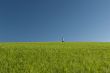 Across the meadow 2