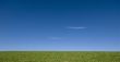 Open meadow 2