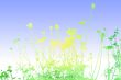 flower textures