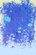 flower textures