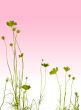 flower textures
