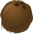 Coconut