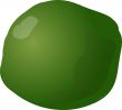 Lime fruit