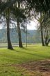 Golf landscape