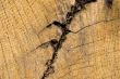 Old wooden tecture