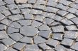 Single sprout in rocky pavement background