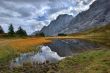 The bog is high in mountains
