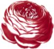 airbrushed rose