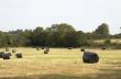 Hay Bales
