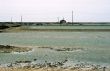 Camargue