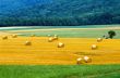 Campagna francese