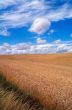 Campagna francese 2