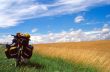 Campagna francese 3