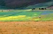 Castelluccio 10