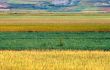 Castelluccio 12