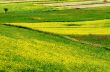 Castelluccio 13