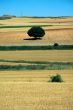 Castilla