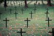 Ardenne - War Cemetery 2
