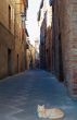 Citt? della Pieve 5