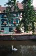 Colmar 5