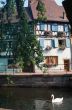 Colmar 8