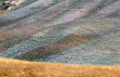 Crete senesi 12