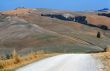 Crete senesi 14