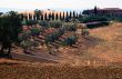 Crete senesi 4
