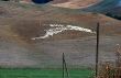 Crete senesi 8