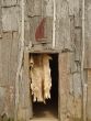 Wolf Clan Long House