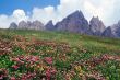 Passo Gardena 2
