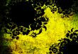 floral style backgrounds frame