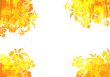 floral style backgrounds frame